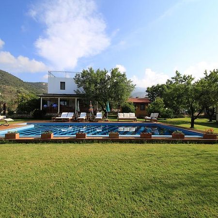 Bal Badem Bungalow Datça Eksteriør billede