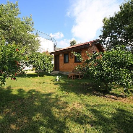 Bal Badem Bungalow Datça Eksteriør billede