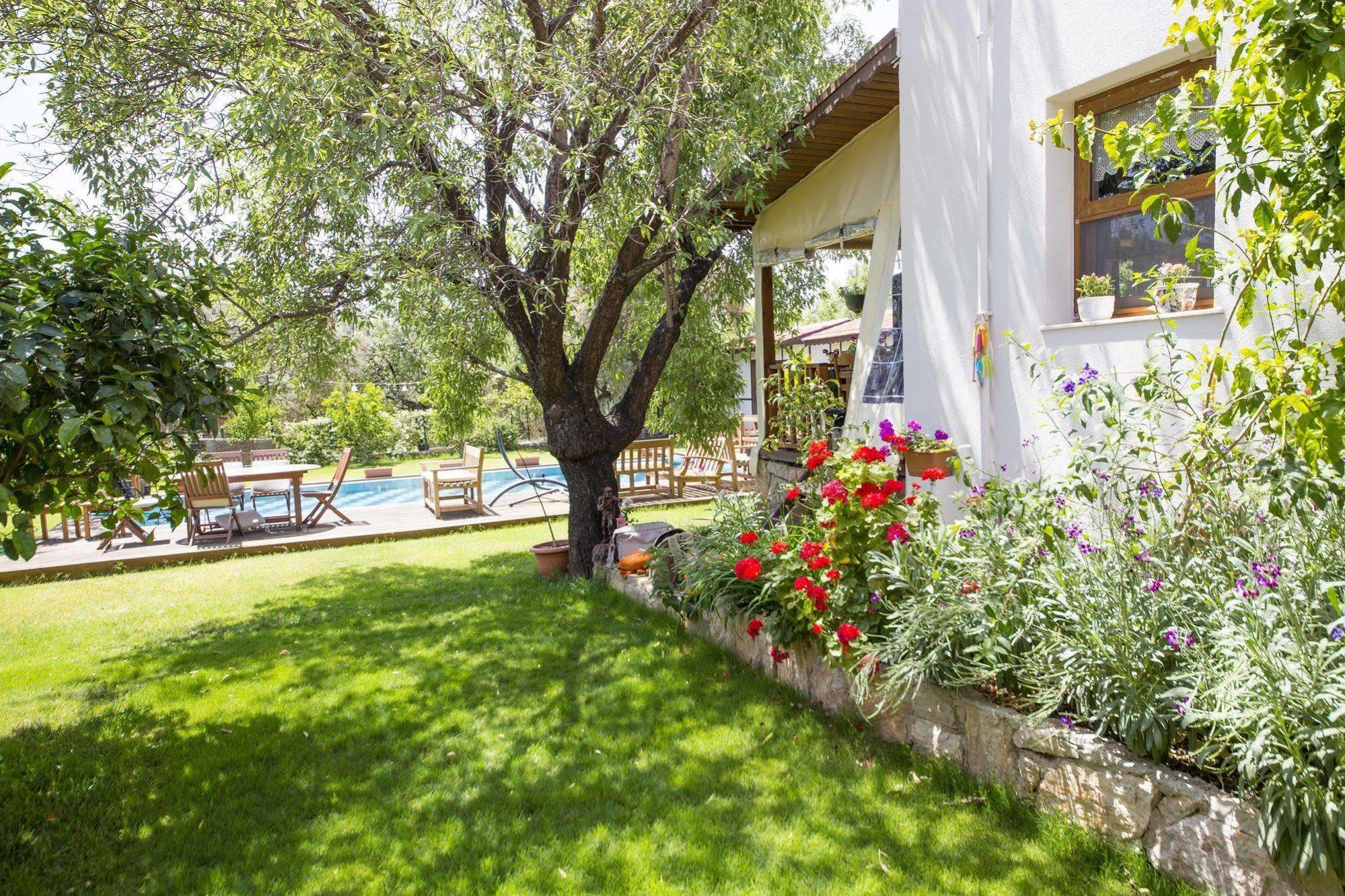Bal Badem Bungalow Datça Eksteriør billede