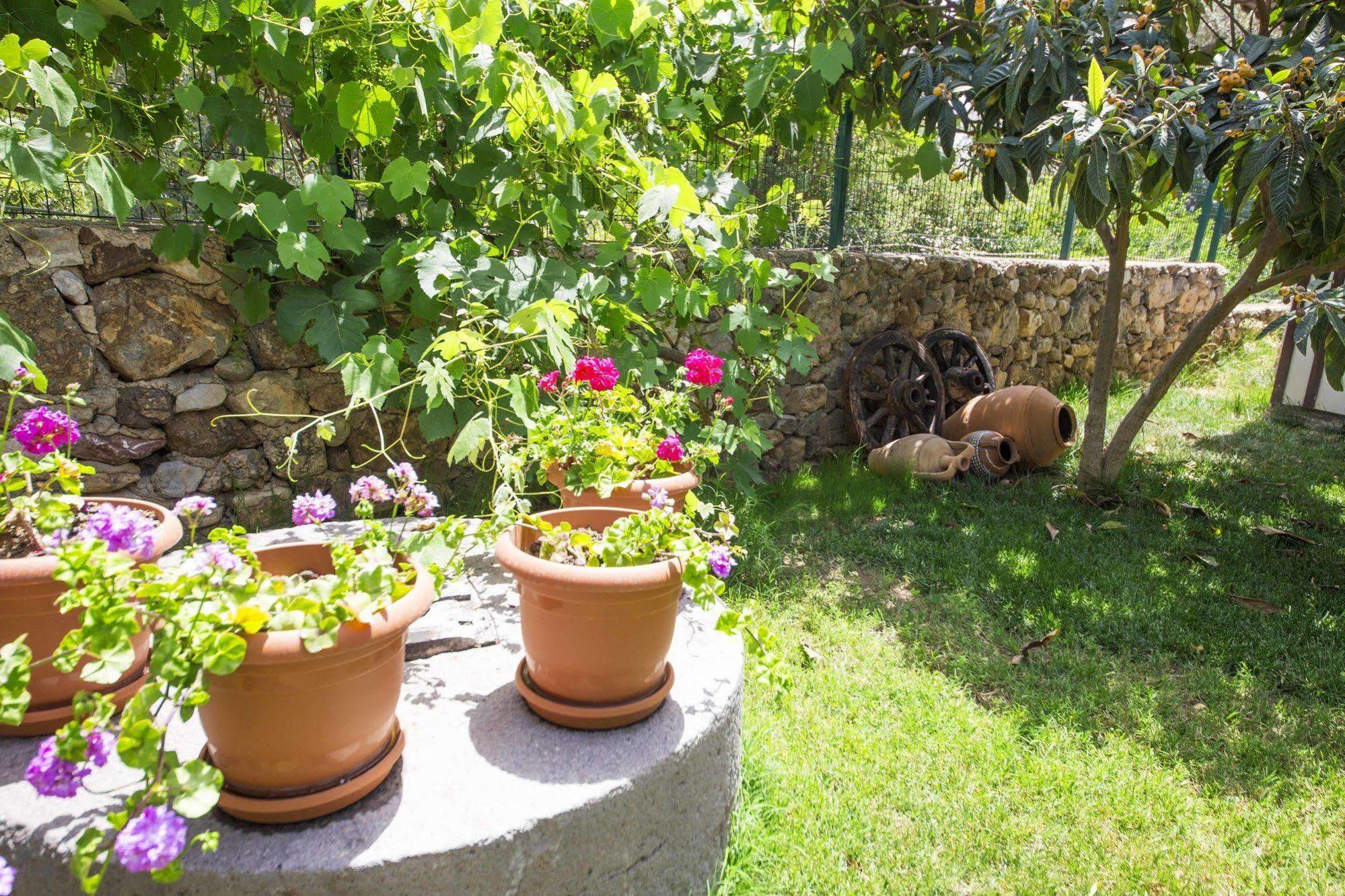 Bal Badem Bungalow Datça Eksteriør billede